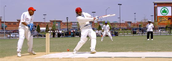 People Playing Cricket in a Park